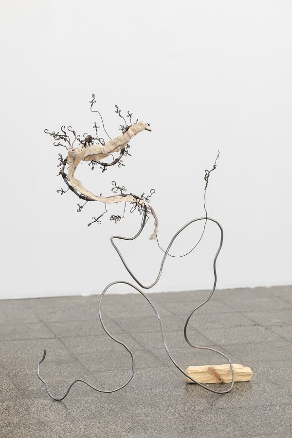 Lihi Goldstein, Spine (2), 2026