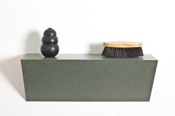 Haim Steinbach, Untitled (brush, dog, chew), 2008