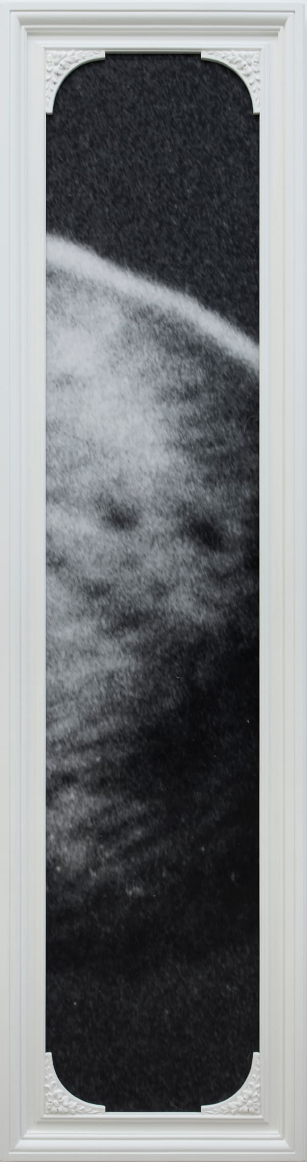 Jonathan Monk, Il cane di Pistoletto 14, 2017