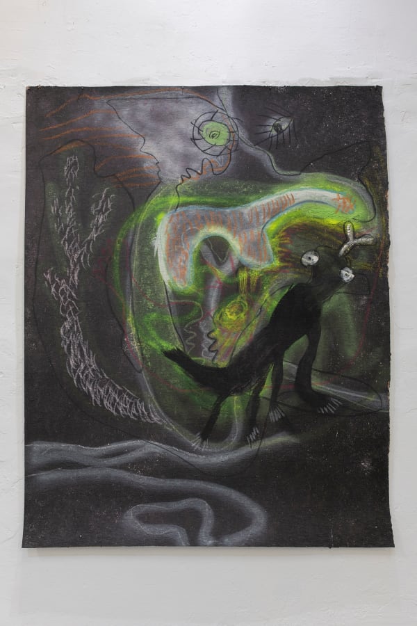 Aysha E Arar, Is it possible for a lizzard to love a giraffe?, 2022