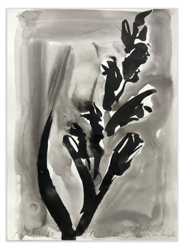 Mircea Cantor, Garden of paradise (Jardin du Paradis/ Grädina Raiului), #5, 2023