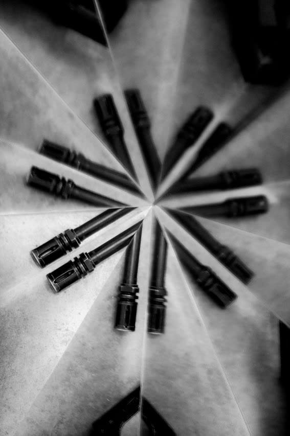 Mircea Cantor, Holy flowers VII, 2010