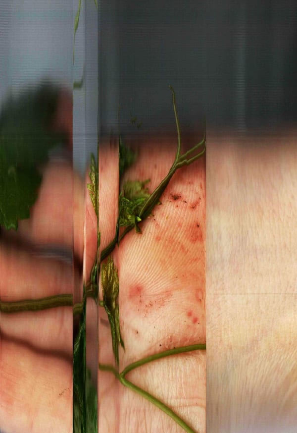 Noa Zait, Untitled, 2025