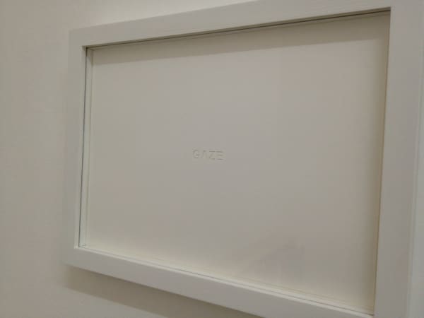 Shilpa Gupta, Gaze, 2012