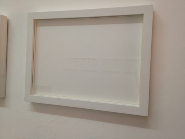 Shilpa Gupta, Memory, 2012