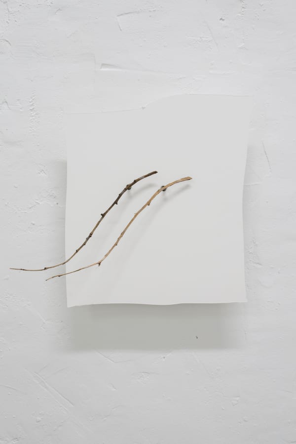 Ariel Schlesinger, Untitled, 2021