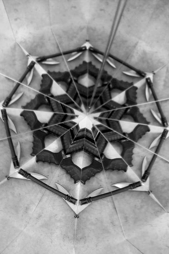 Mircea Cantor, Holy flowers VIII, 2010