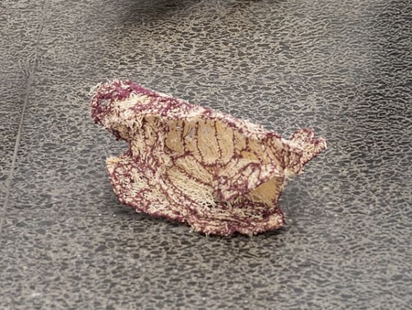 Lihi Goldstein, Wandering route (2), 2026