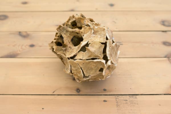 Ariel Schlesinger, Untitled (Inside out skull), 2014