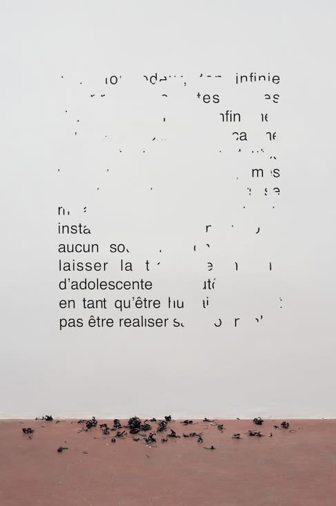 Latifa Echakhch, Vendredi 11 août 1989 - Voilà ton odeur ton infinie compréhension, 2014