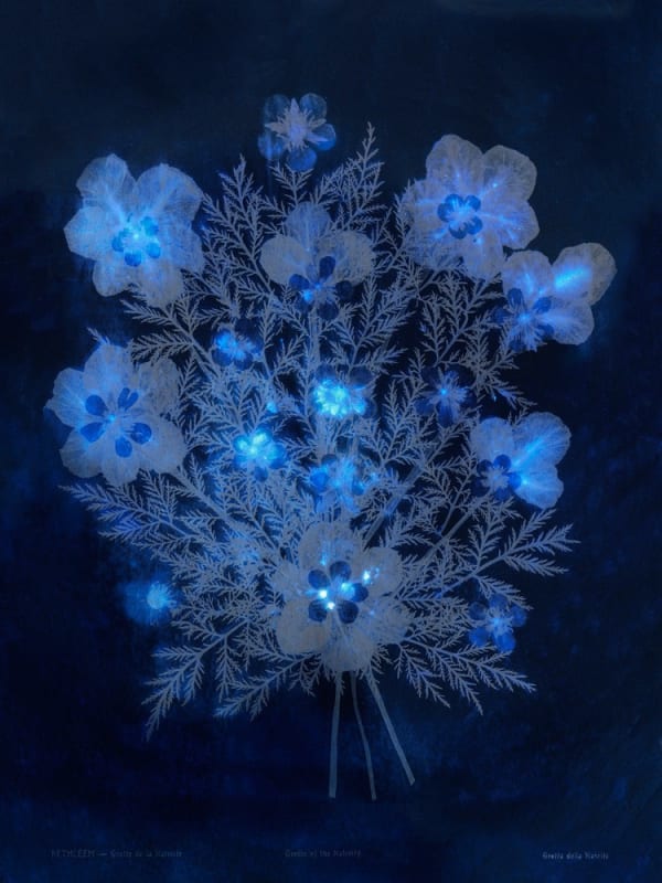 Dor Guez, Lilies of the field #3, Bethlehem, Grotto of the Nativity, 2020