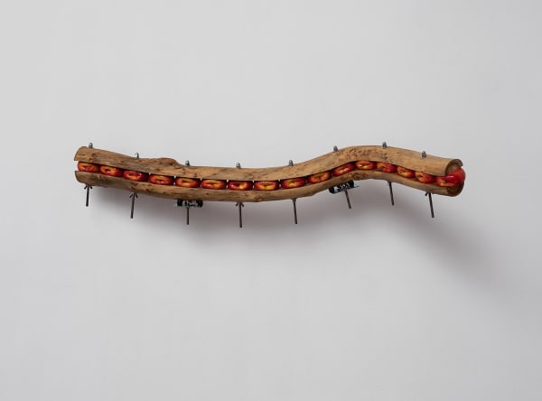 Barak Ravitz, Fossa, 2018