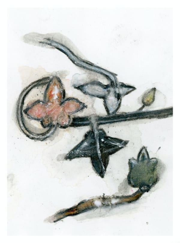 Noa Zait, Vile lust and shameful blasphemy V, 20162018