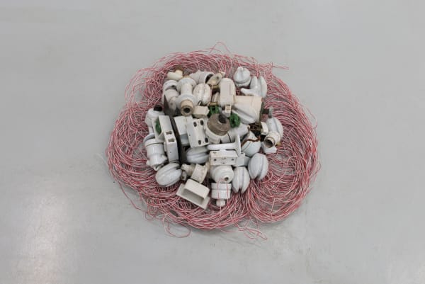 Marianne Berenhaut, Fleur électrique, 2020