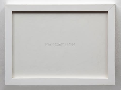 Shilpa Gupta, Perception, 2012