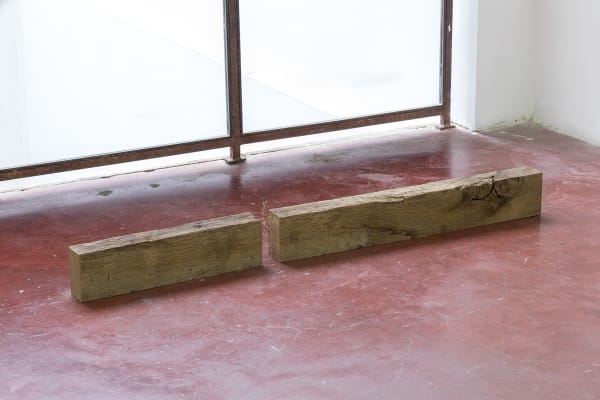Daniel Steegmann Mangrané, (92 x 56), 2020