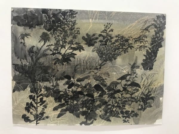 Alma Itzhaky , Ruderal Community, 2020