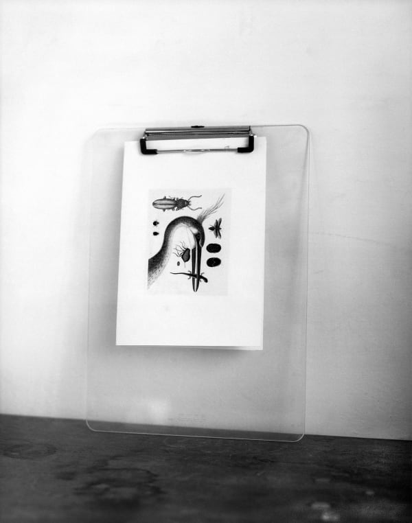 Noa Zait, Untitled (Studio), 2012