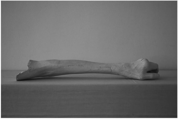 Chen Cohen, Untitled, 2019