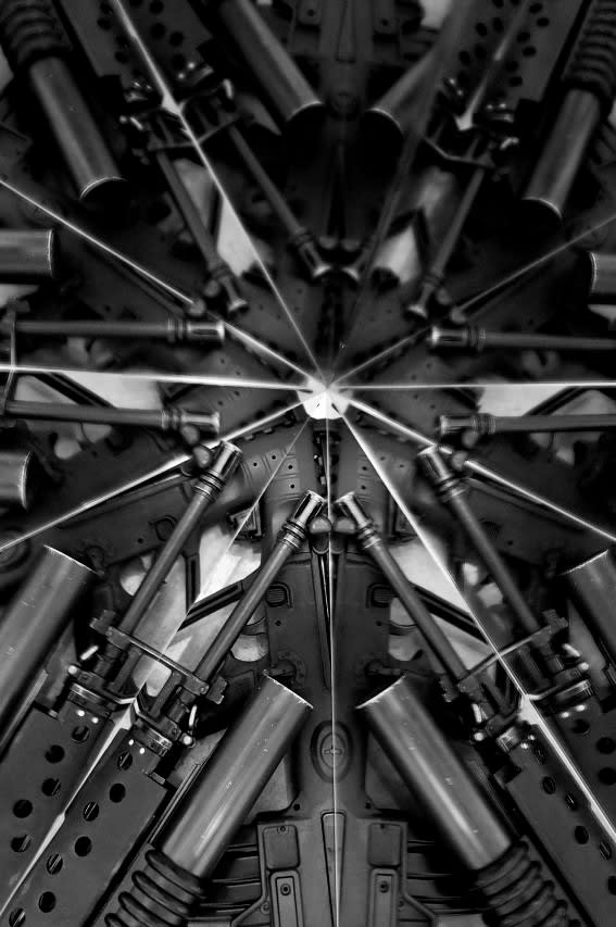 Mircea Cantor, Holy flowers IX, 2010