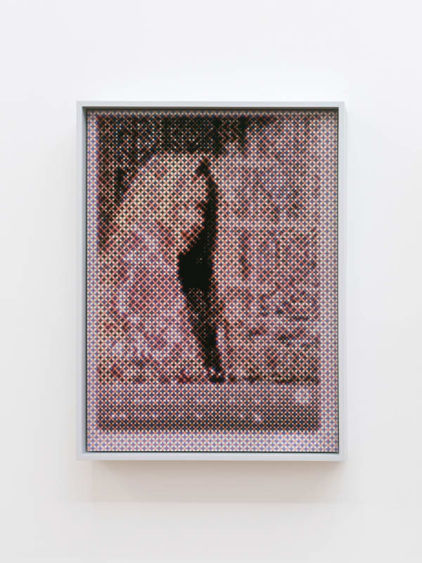 Matan Mittwoch, Patterns [cycle #2 display II] (Body Wall), 2019