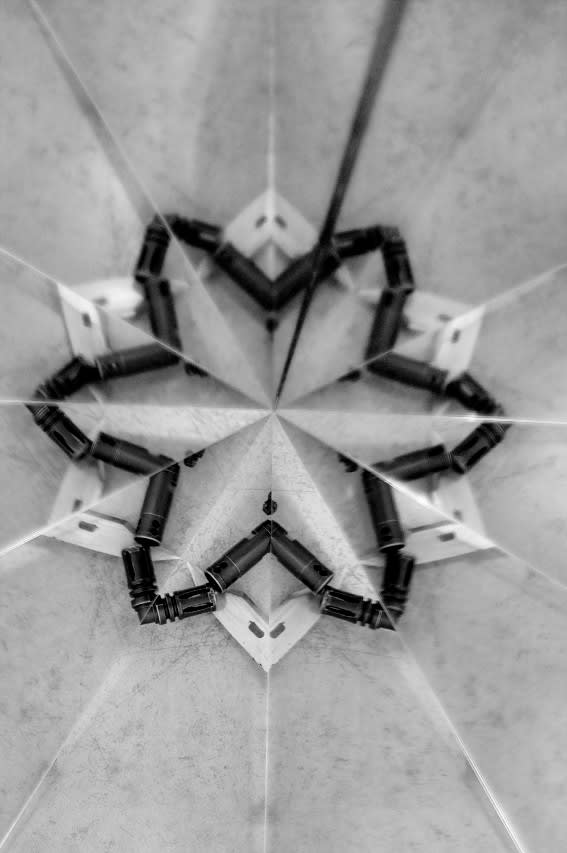 Mircea Cantor, Holy flowers X, 2010