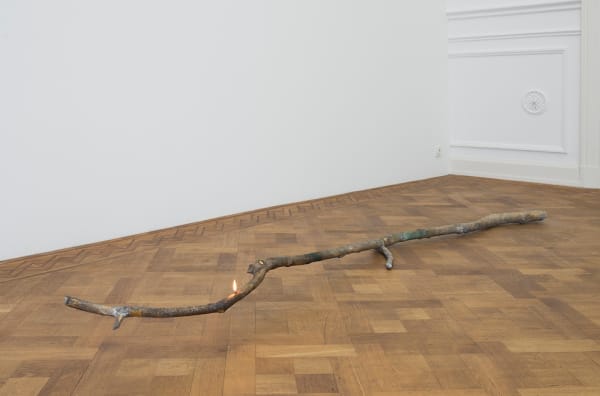 Ariel Schlesinger, At Arm's Length, 2017