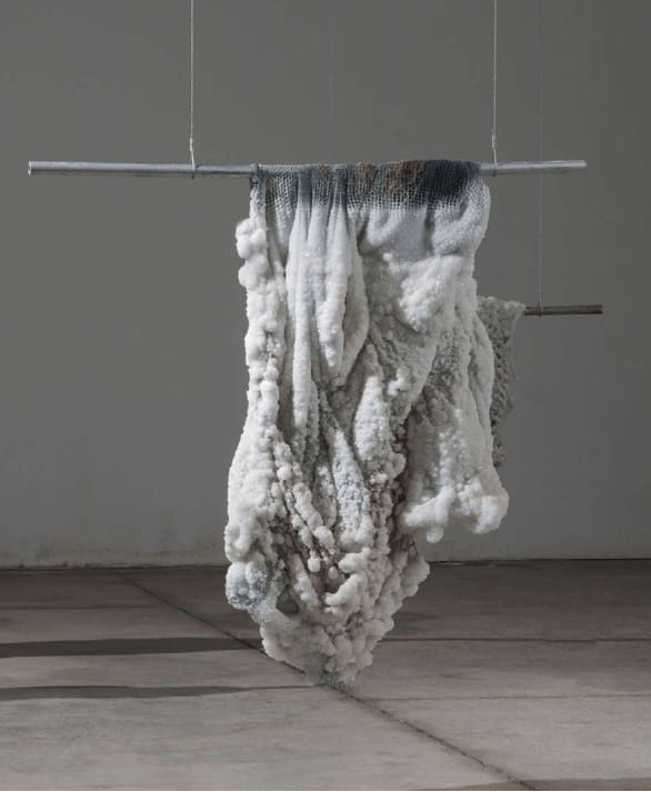 Sigalit Landau, All those Grapes, 2016