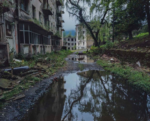 Pavel Wolberg, Trees reflected on water (Jantuha), 2015