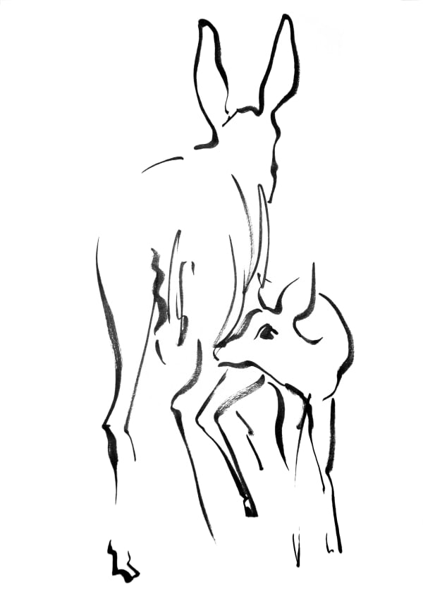 Mircea Cantor, Bellum & Maternitas, 2016