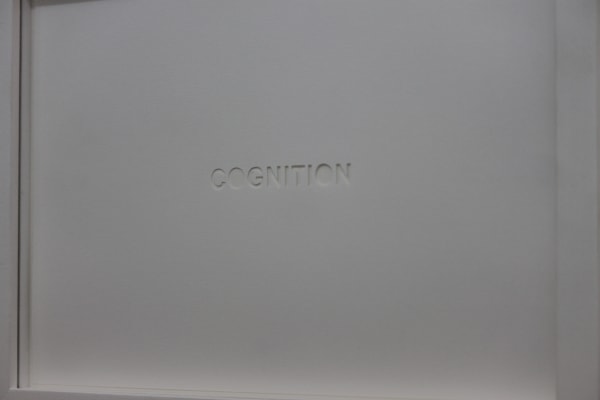 Shilpa Gupta, Cognition, 2012