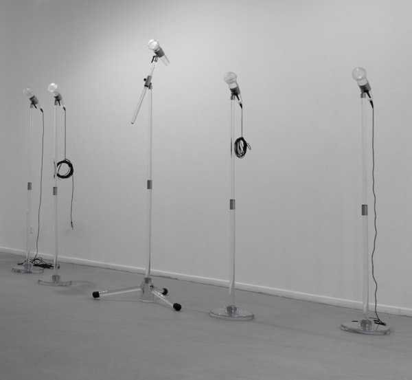 Adel Abdessemed, Fatalité, 2011