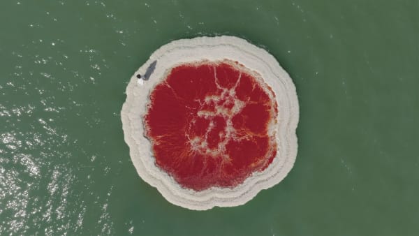 Sigalit Landau, There for Good, 2023