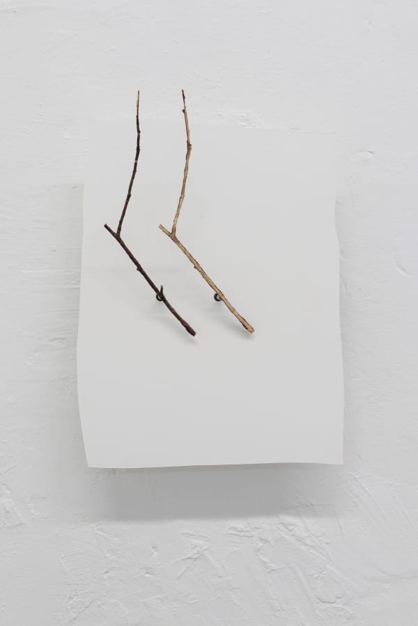 Ariel Schlesinger, Untitled, 2021