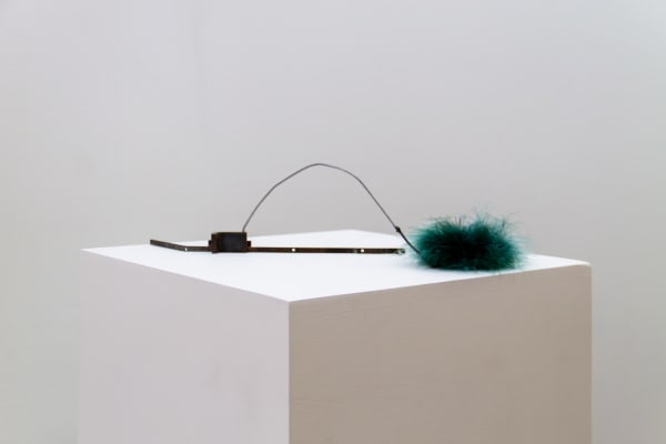 Nobuko Tsuchiya, phoph, 2022