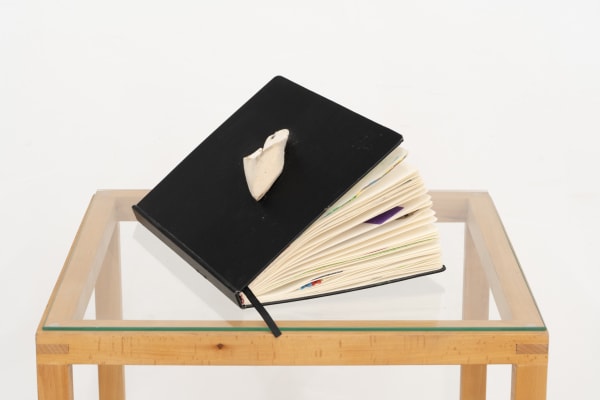 Marianne Berenhaut, Carnet-Collages, 2022-2023