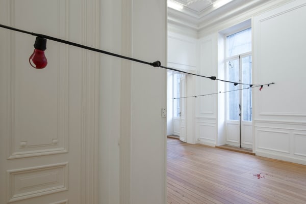 Ariel Schlesinger, After 'All Red', 2017