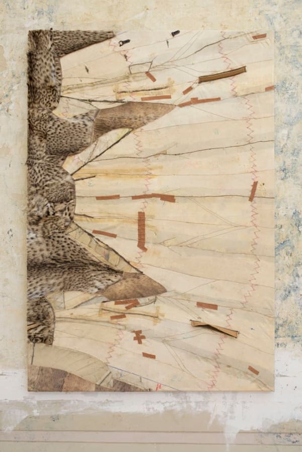 Simon Fujiwara, Fabulous Beasts (African Feline), 2016