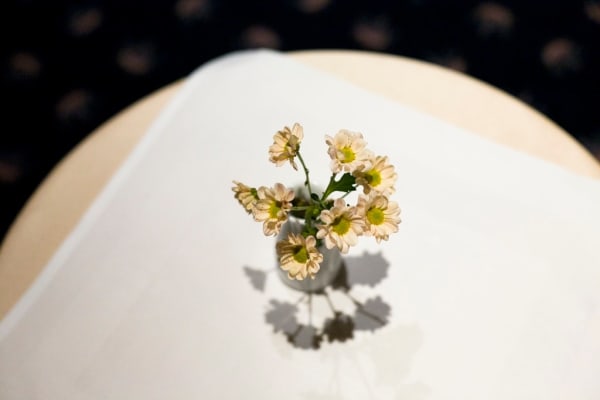 Yossi Breger, Flowers in a Vase, Kassel, 2007