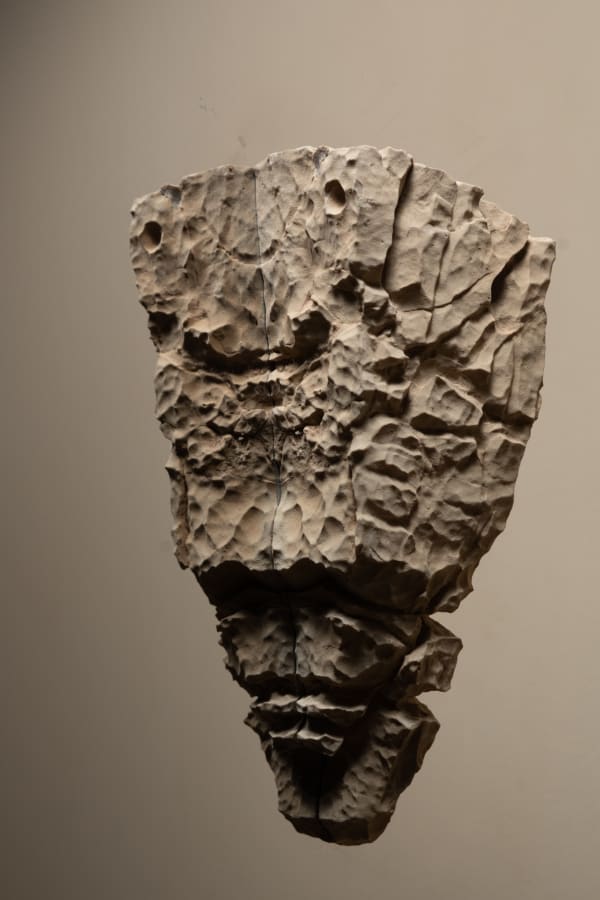 Netally Schlosser, Mishmar Cliff, 2020