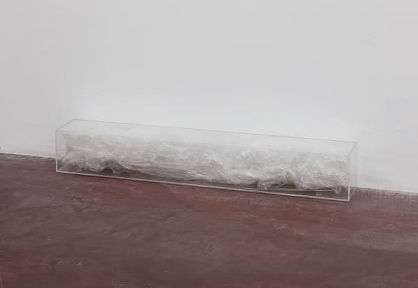 David Maljkovic, Yet to be titled, 2017