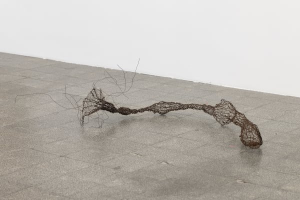 Lihi Goldstein, Untitled, 2025