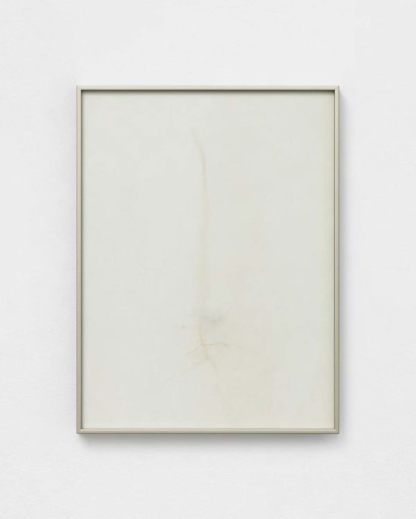 Dor Guez, Khubayza, 2024