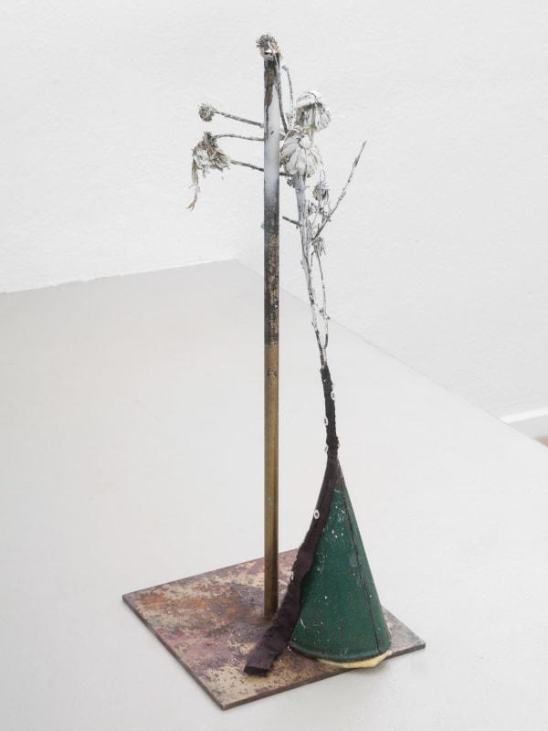 BRI WILLIAMS, DUNCE CAP, 2024 Installation view, "Stardust," Sentiment, Zürich, June 1–July 13, 2024. Photo: Philipp Rupp/Julien Gremaud