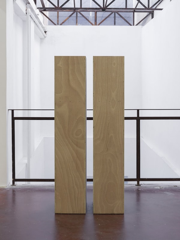 Miroslaw Balka, Up to my eyes level / talked into blindness, 2017