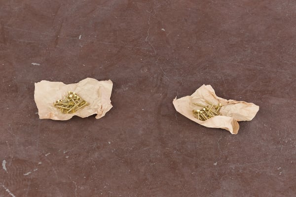 Ariel Schlesinger, Democracy now, 2016