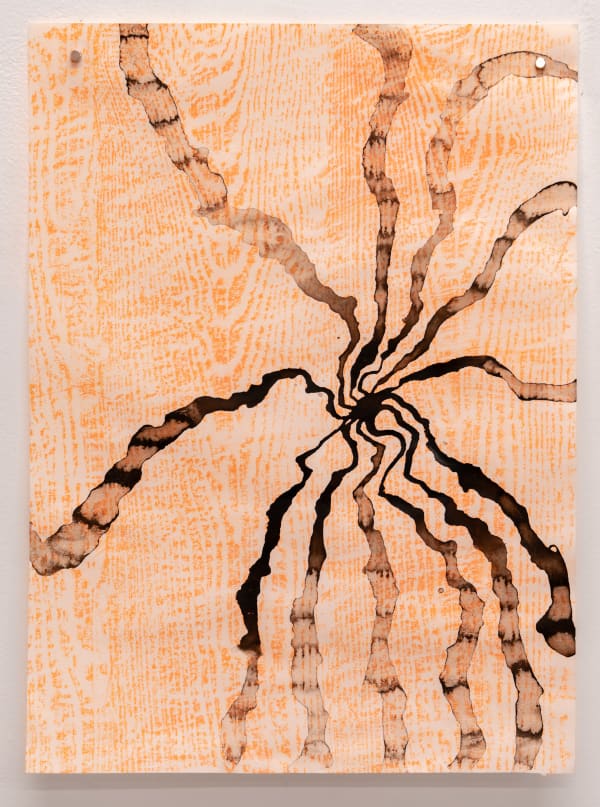 Alma Itzhaky , Untitled, 2023