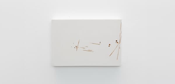 Florian Pumhösl, Untitled, 2024