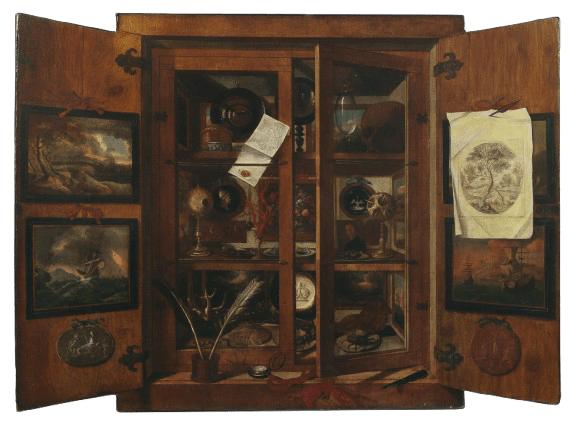 Domenico Remps, Cabinet of curiosities