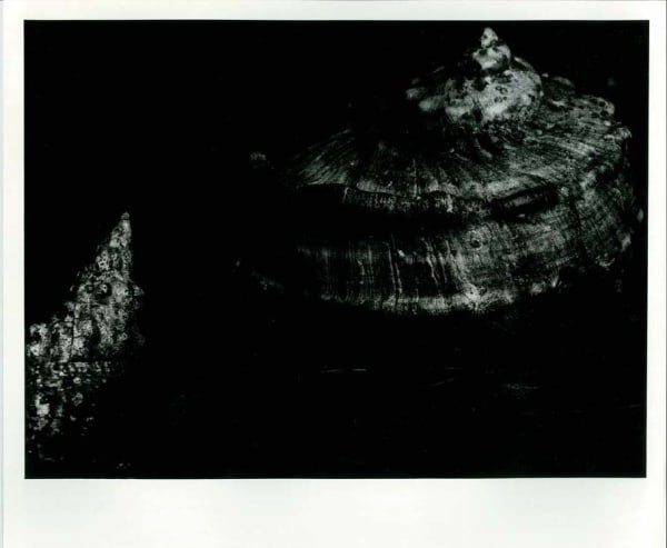 中平卓馬 Nakahira Takuma, 無題 Untitled, 1980s